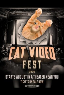 Movie Thumb